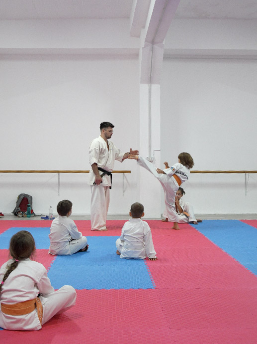 Grupă karate copii Brașov