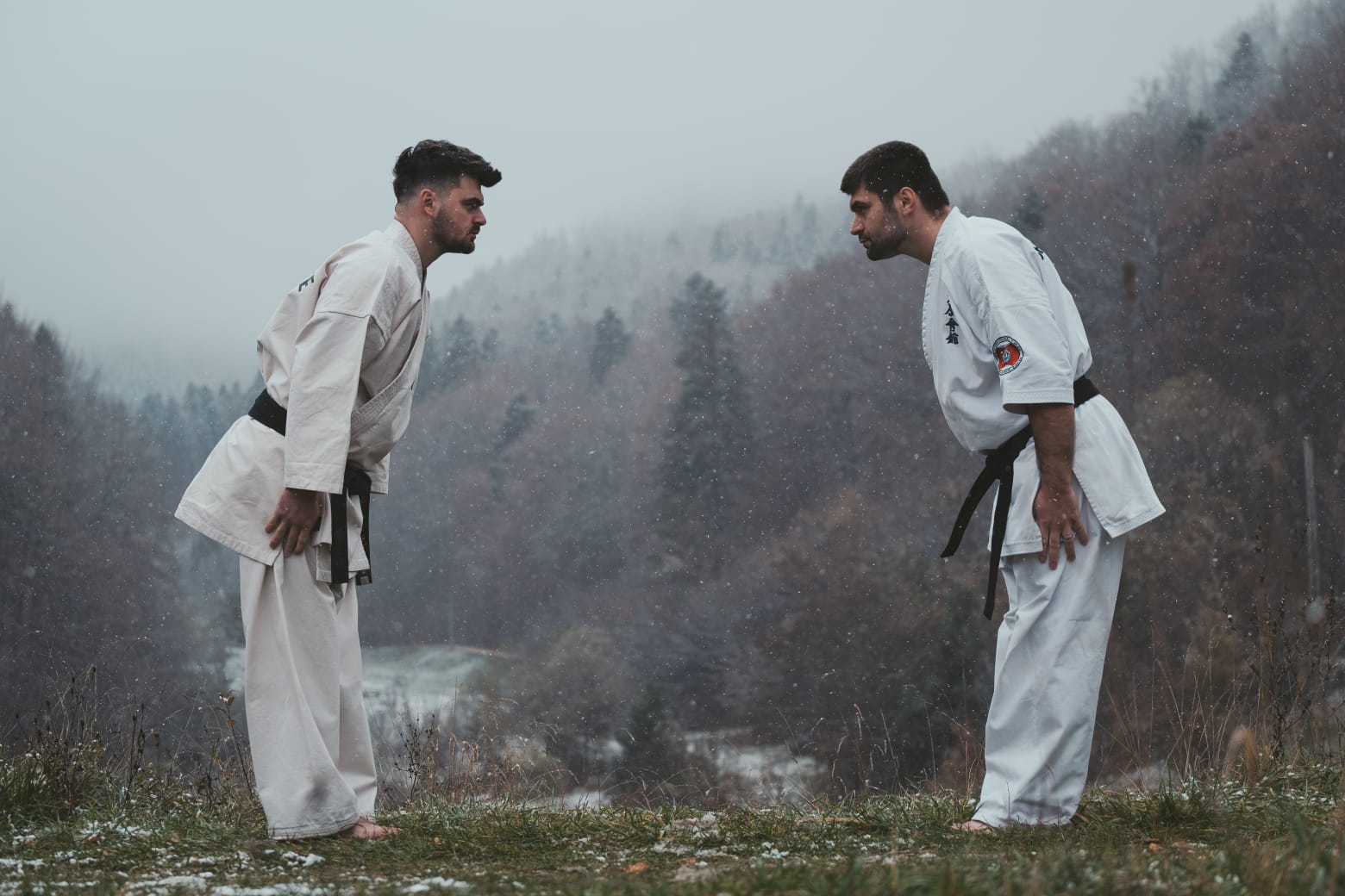 Karate - foto 1