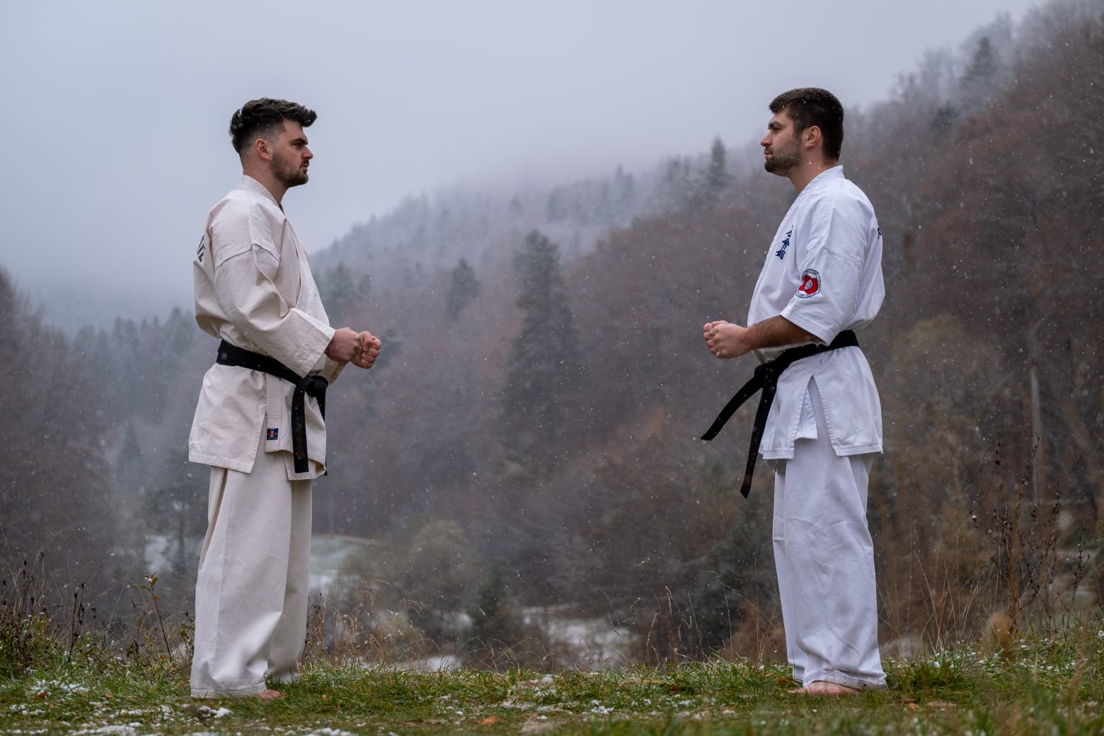 Karate - foto 3