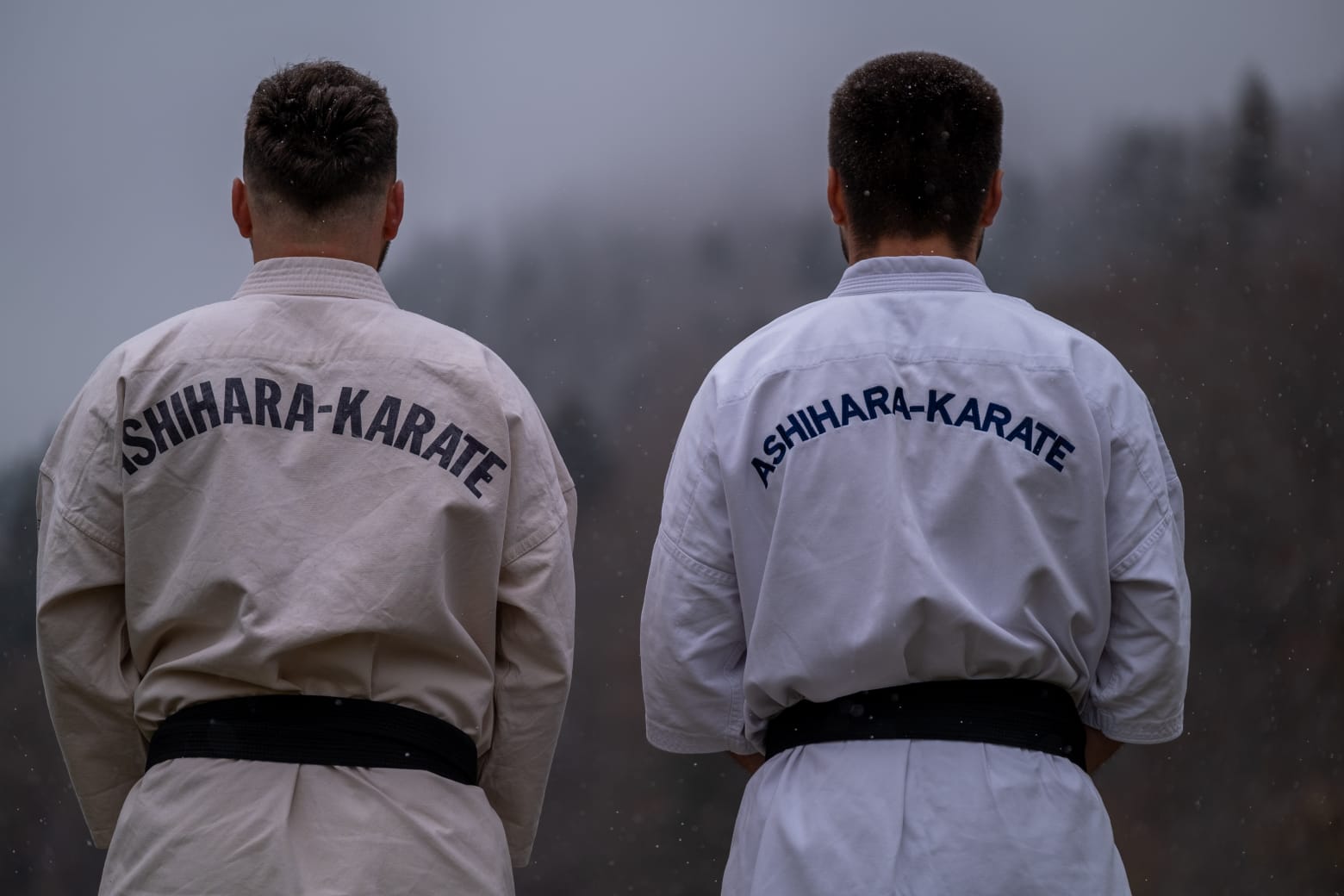 Karate - foto 4
